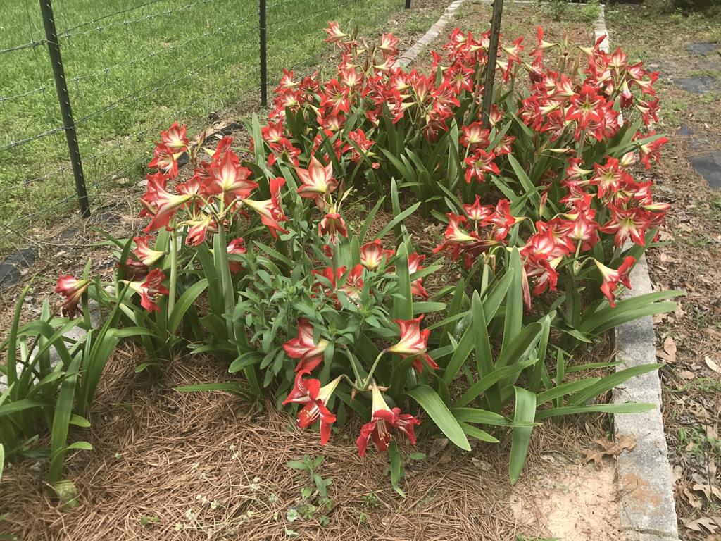 Eli Bowen - Residential