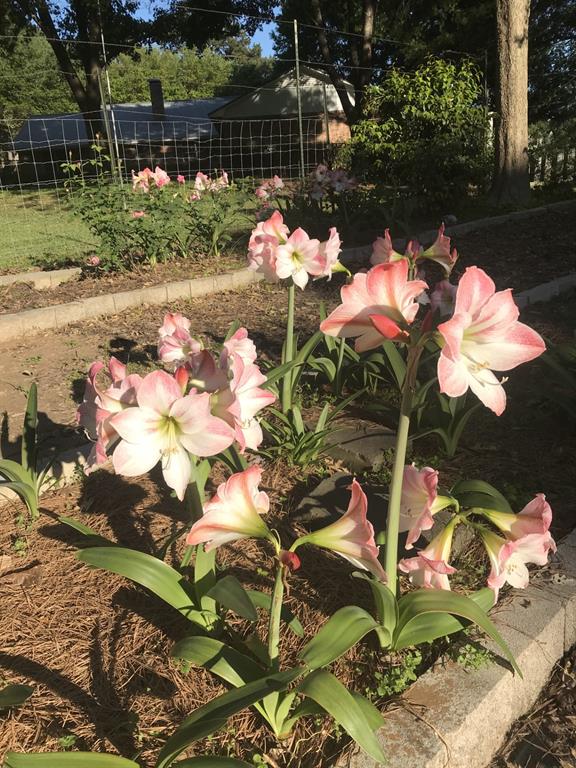 Eli Bowen - Residential