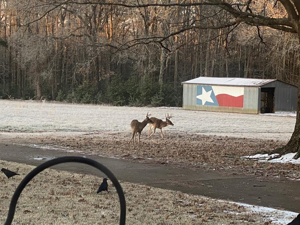 Eli Bowen - Residential
