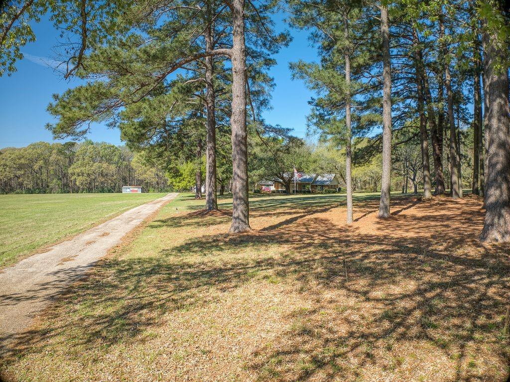 Eli Bowen - Residential