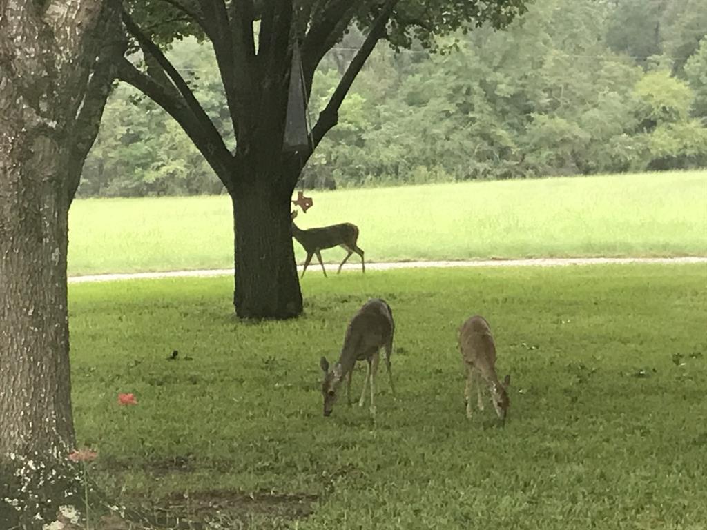 Eli Bowen - Residential
