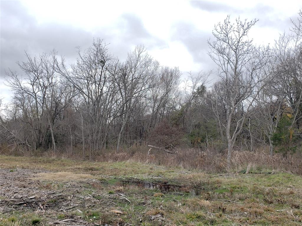 Mullaney Corp - Land