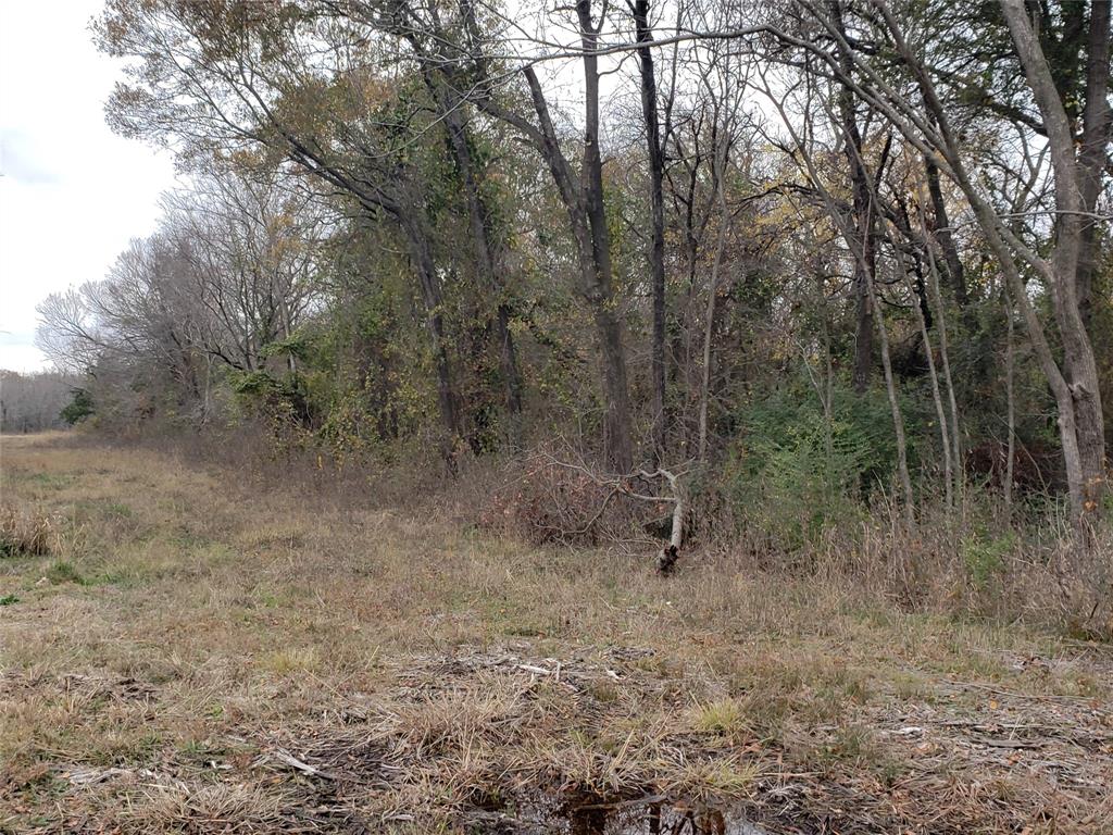 Mullaney Corp - Land