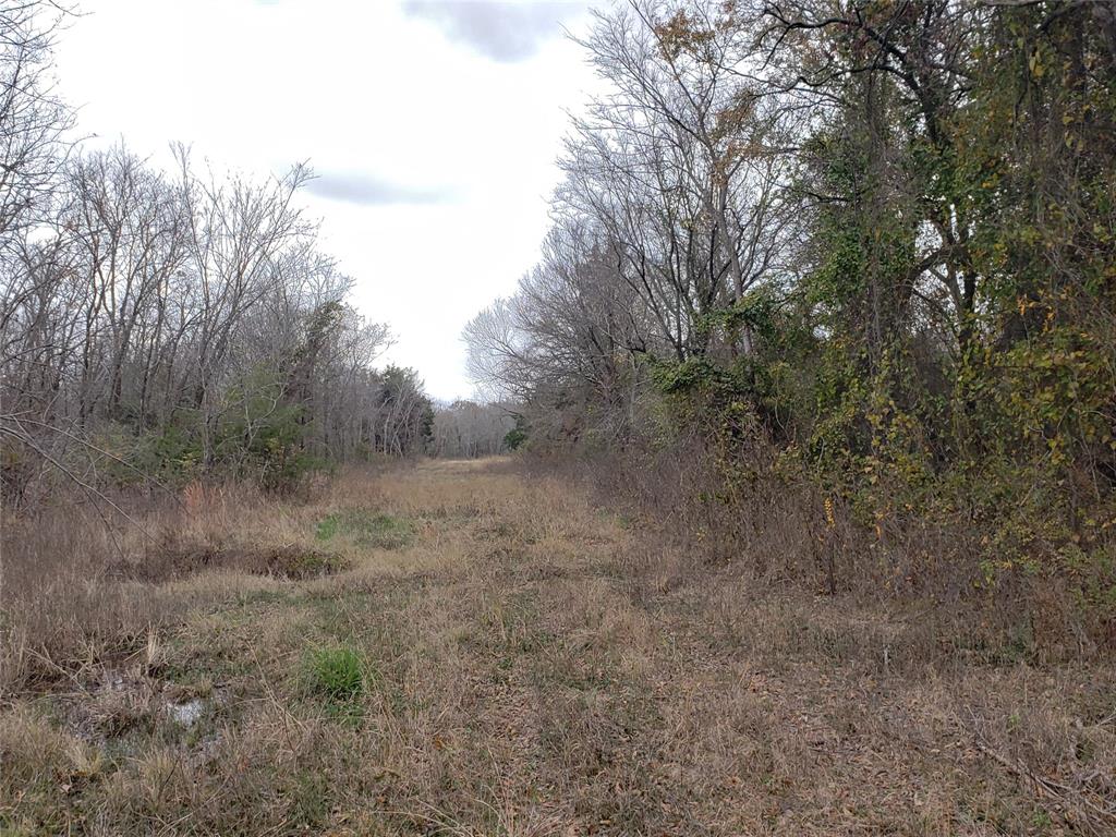 Mullaney Corp - Land