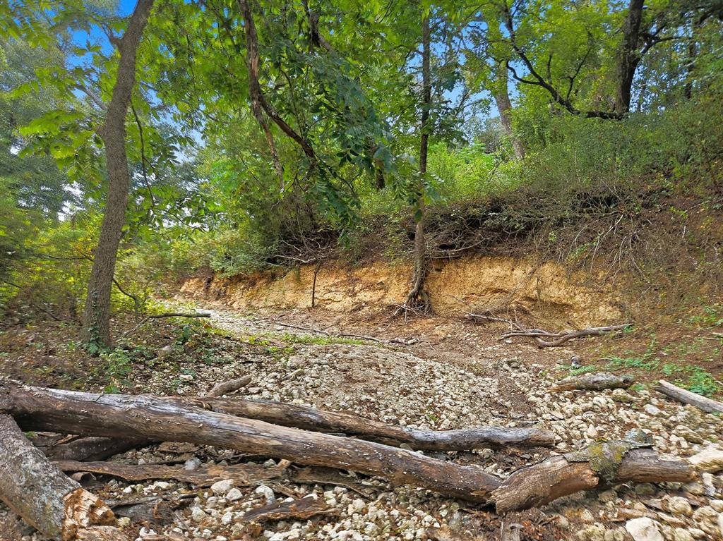 TDB 482 Acres W Fm 217