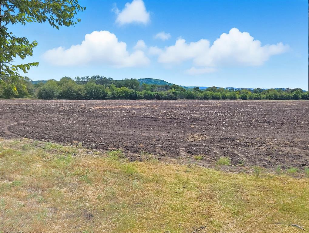 TDB 482 Acres W Fm 217