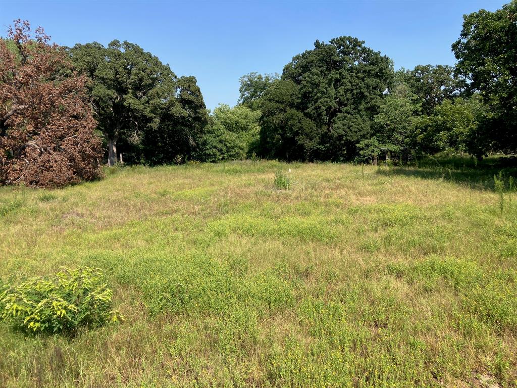 Liberty Heights - Land