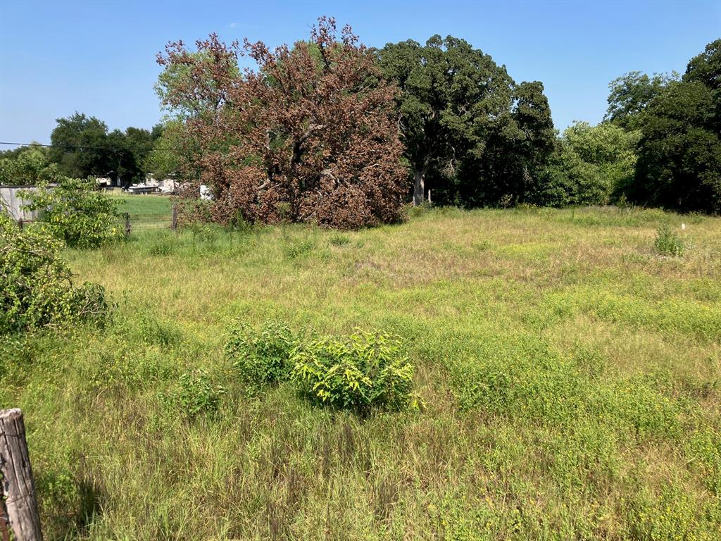 Liberty Heights - Land