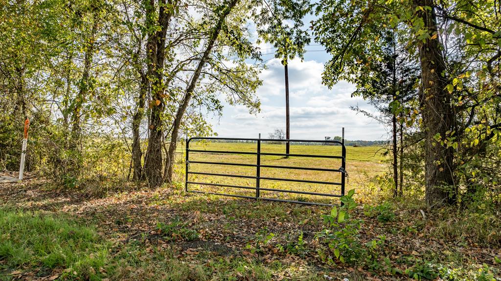 Wishing Star Ranch - Land