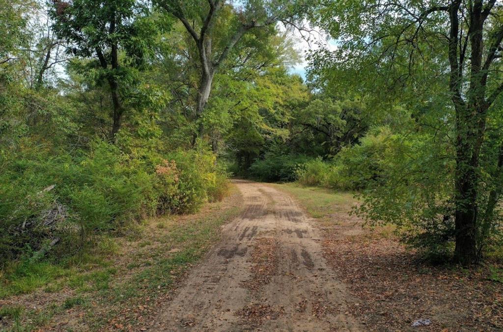 1234 County Road 1450