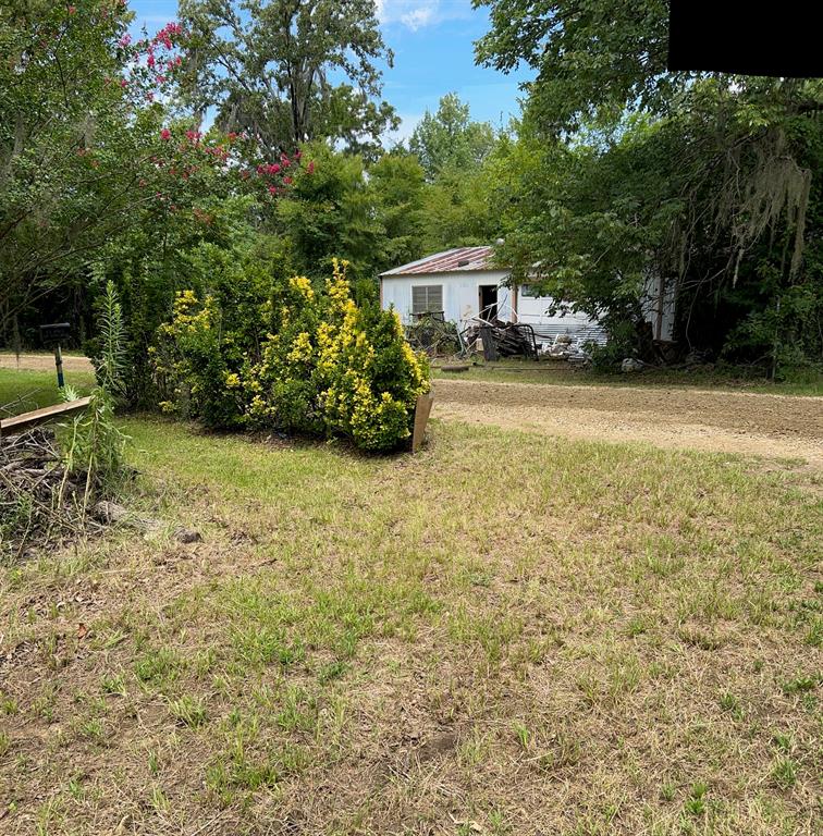181 Sonny Black Road