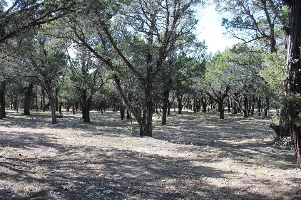 Glen Rose, Texas 76043, United States, ,Land,Pending,19007