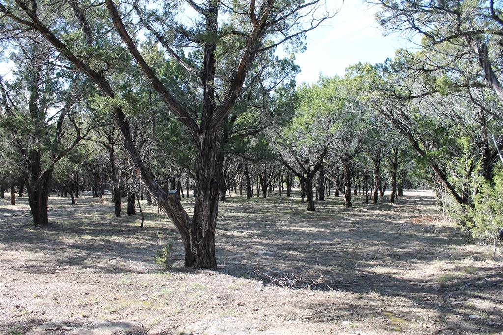 Glen Rose, Texas 76043, United States, ,Land,Pending,19007