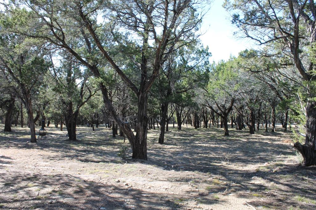 Glen Rose, Texas 76043, United States, ,Land,Pending,19007