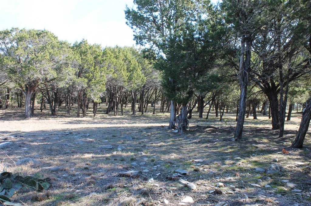 Glen Rose, Texas 76043, United States, ,Land,Pending,19007