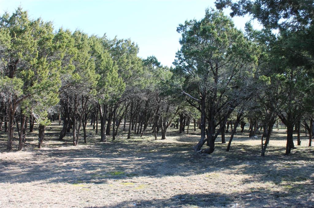 Glen Rose, Texas 76043, United States, ,Land,Pending,19007