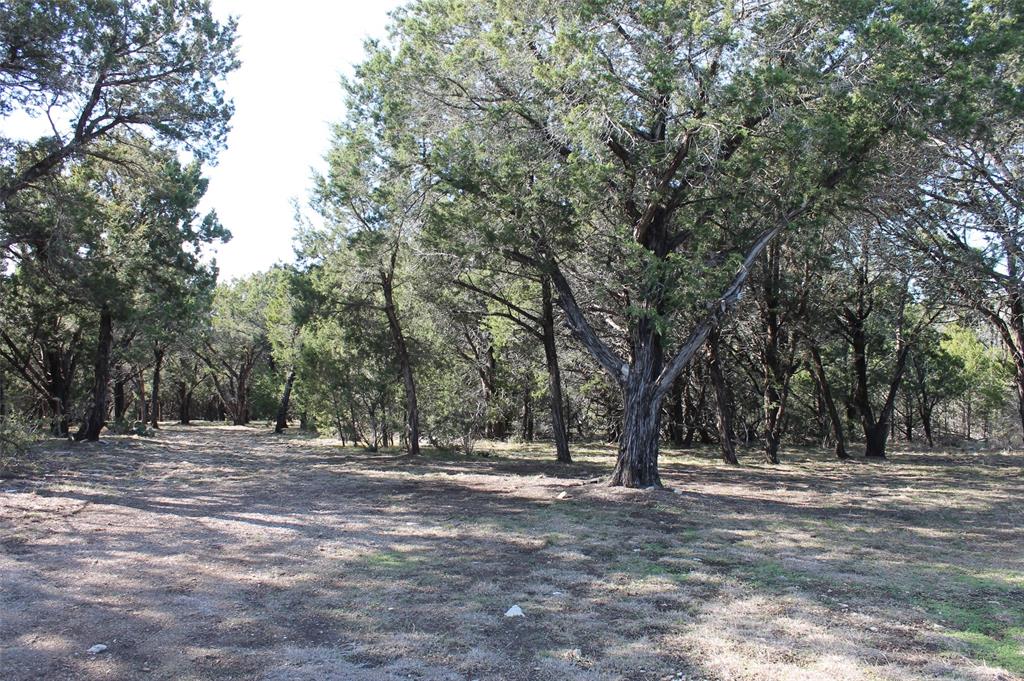Glen Rose, Texas 76043, United States, ,Land,Pending,19007