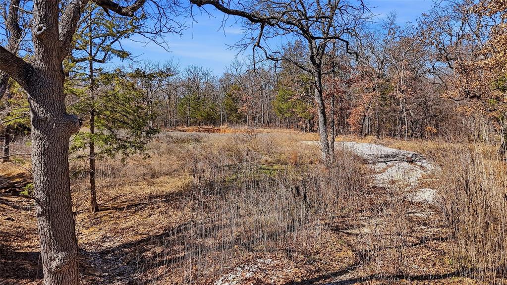 295 County Road 2251