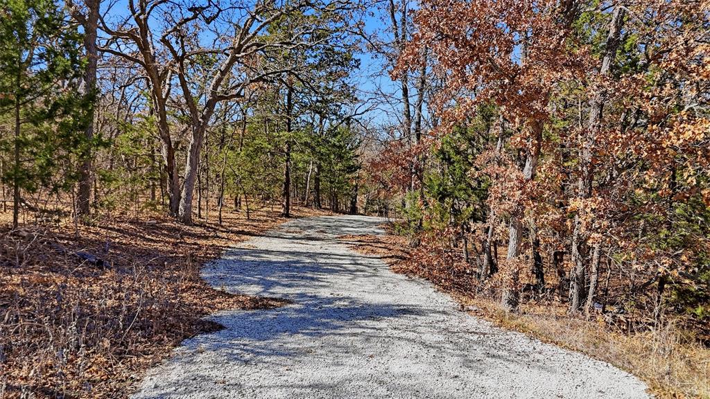 295 County Road 2251