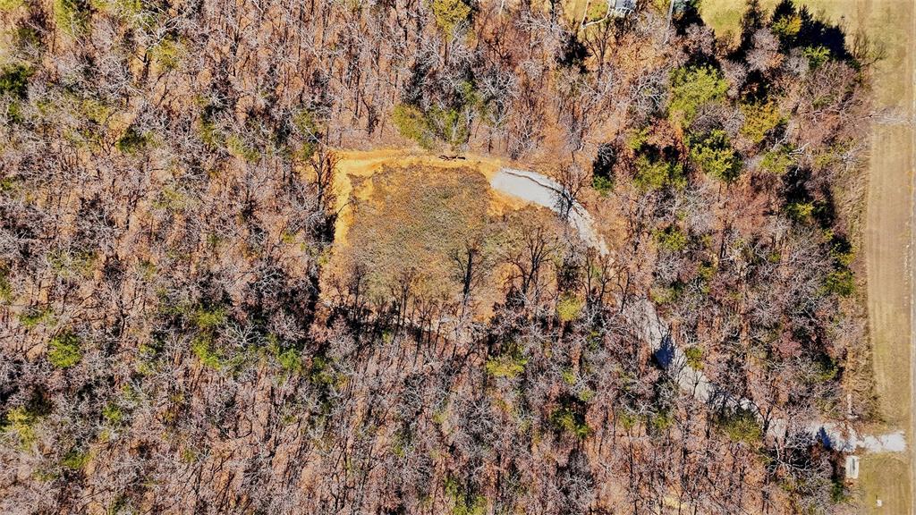 295 County Road 2251