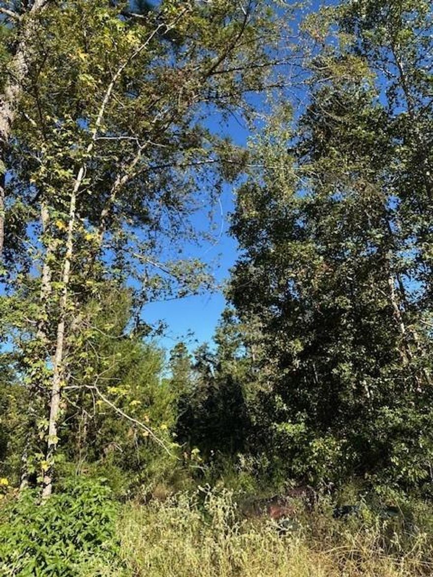 ADJACENT PROPERTY LOT 2 10.01 ACRES IS ALSO FOR SALE. SEE MLS 21086139. In time for deer season: Country living and hunter's paradise within a few miles of Richland Chambers Lake, Lake Palestine and the small town of Palestine, gives you the perfect place to not only enjoy the outdoors, but gives you the quiet peacefulness of a place to camp. This unique offering provides the extraordinary privacy of multiple acres combined with the potential for a custom-built, single-family home. The property features an estimated 10+ acres of potential buildable land-a rare find for a private residence. It has access to power at the paved country road running adjacent to the property. Key characteristics include tree cover, which varies from dense or sparse, and a mix of tree species, from deciduous or evergreen. Contains rolling topography as well as level terrain in some areas. Several areas have been cleared while others remain wooded. A small, clear spring  creek runs along the back of the property. This property is the perfect location for the active outdoorsman or nature enthusiast. Land has old growth hardwood and just the place you envision those trophy Whitetails hiding out as well as hogs. Don't miss this opportunity to see and experience this rare find. Buyer will be responsible for well, septic and electricity installation after closing.