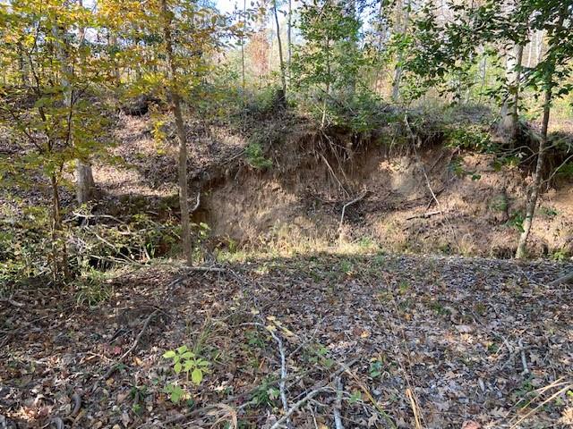 536 An County Road 1233