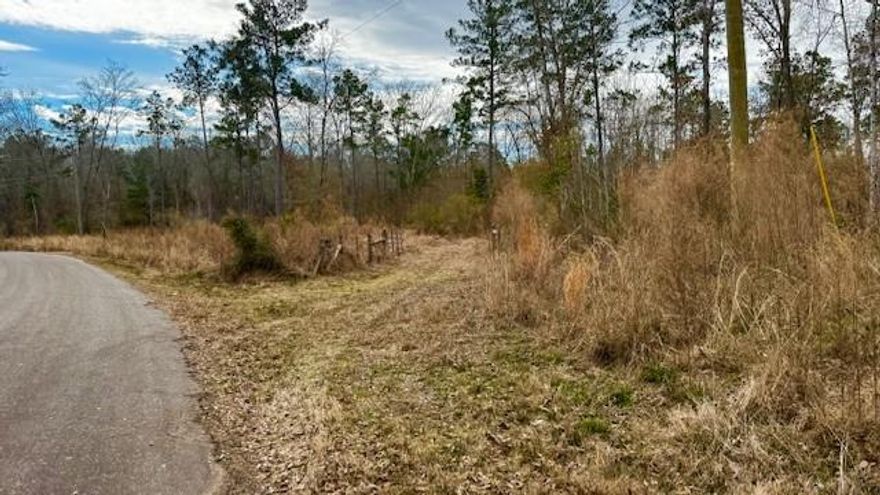 LOT 3 is a beautiful 10.01 ACRE property and if more land is desired, the adjacent LOT 2 has an additional 10.01 acres for sale. See listing MLS 21086139 (0 An County Road 1233, PALESTINE, TX). Country living and hunter's paradise within a few miles of Richland Chambers Lake, Lake Palestine and the small town of Palestine, gives you the perfect place to not only enjoy the outdoors, but gives you the quiet peacefulness of a place to camp. This unique offering provides the extraordinary privacy of multiple acres combined with the potential for a custom-built, single-family home. The property features an estimated 10+ acres of potential buildable land-a rare find for a private residence. It has access to power at the paved country road running adjacent to the property. Key characteristics include tree cover, which varies from dense or sparse, and a mix of tree species, from deciduous or evergreen. Contains rolling topography as well as level terrain in some areas. Several areas have been cleared while others remain wooded. A small, clear spring  creek runs along the back of the property. This property is the perfect location for the active outdoorsman or nature enthusiast. Land has old growth hardwood and just the place you envision those trophy Whitetails hiding out as well as hogs. Don't miss this opportunity to see and experience this rare find. Buyer will be responsible for well, septic and electricity installation after closing.