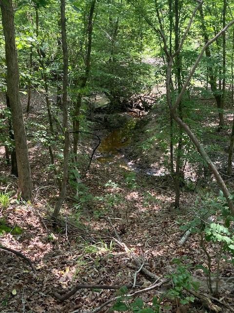 536 An County Road 1233