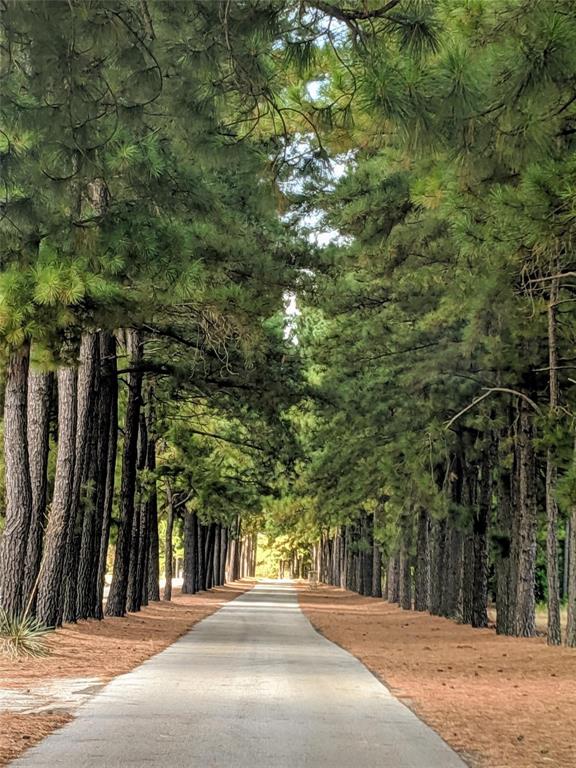 Waters Edge Ranch 57 Ph 01 - Land