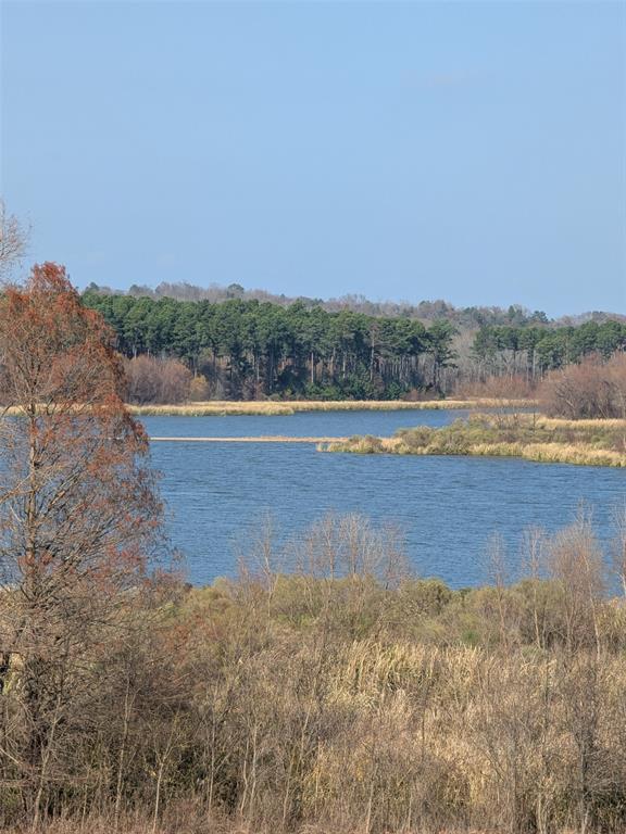 7710 Shore Crest Way