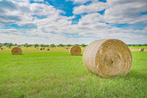 Photo of Lot 2 TBD Orchard Road, Bowie, TX 76230 (MLS # 21408815)