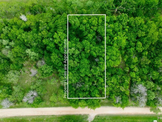 MELONDALE DR, ELM MOTT, TX 76640 - Image 1b46f122766e494c078a6cd0ff77e41c/3473664771