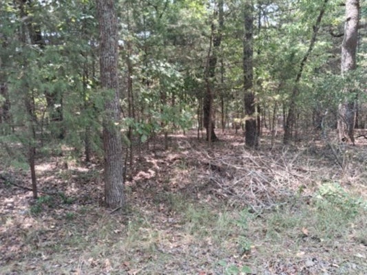 ADDRESS PRIVATE, MURCHISON, TX 75778 - Image 1b4d4a25467070e9ef5b9f43aeb53fd8/2000440924