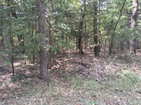 Photo of tbd Sundown, Murchison, TX 75778 (MLS # 21351558)