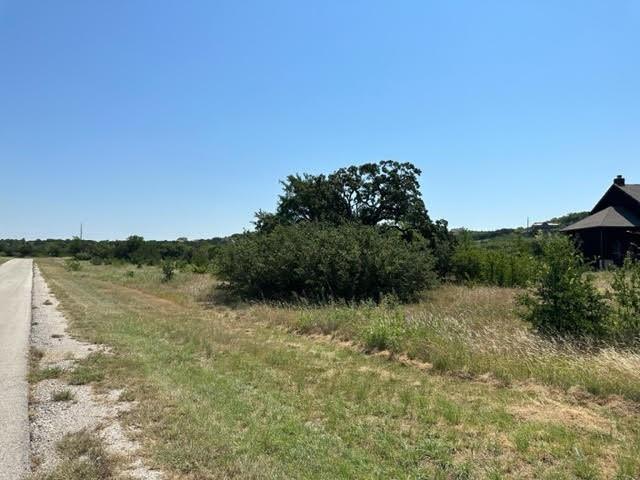 Lot 975 Cinnamon Teal