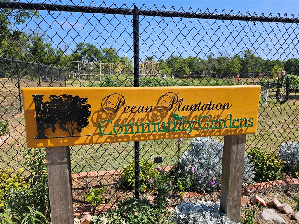 Pecan Plantation - Land