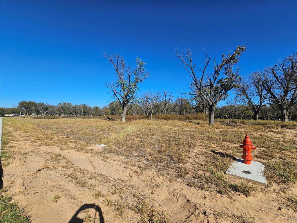 Pecan Plantation - Land
