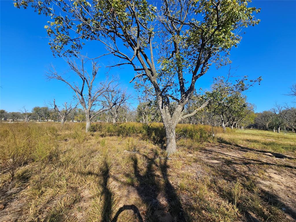 Pecan Plantation - Land