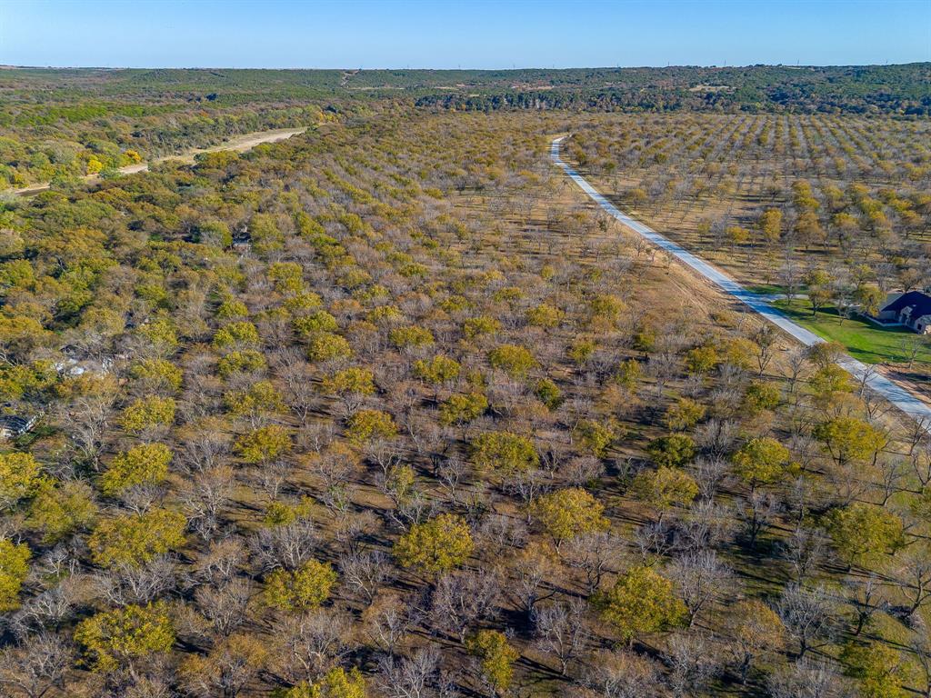 Pecan Plantation - Land