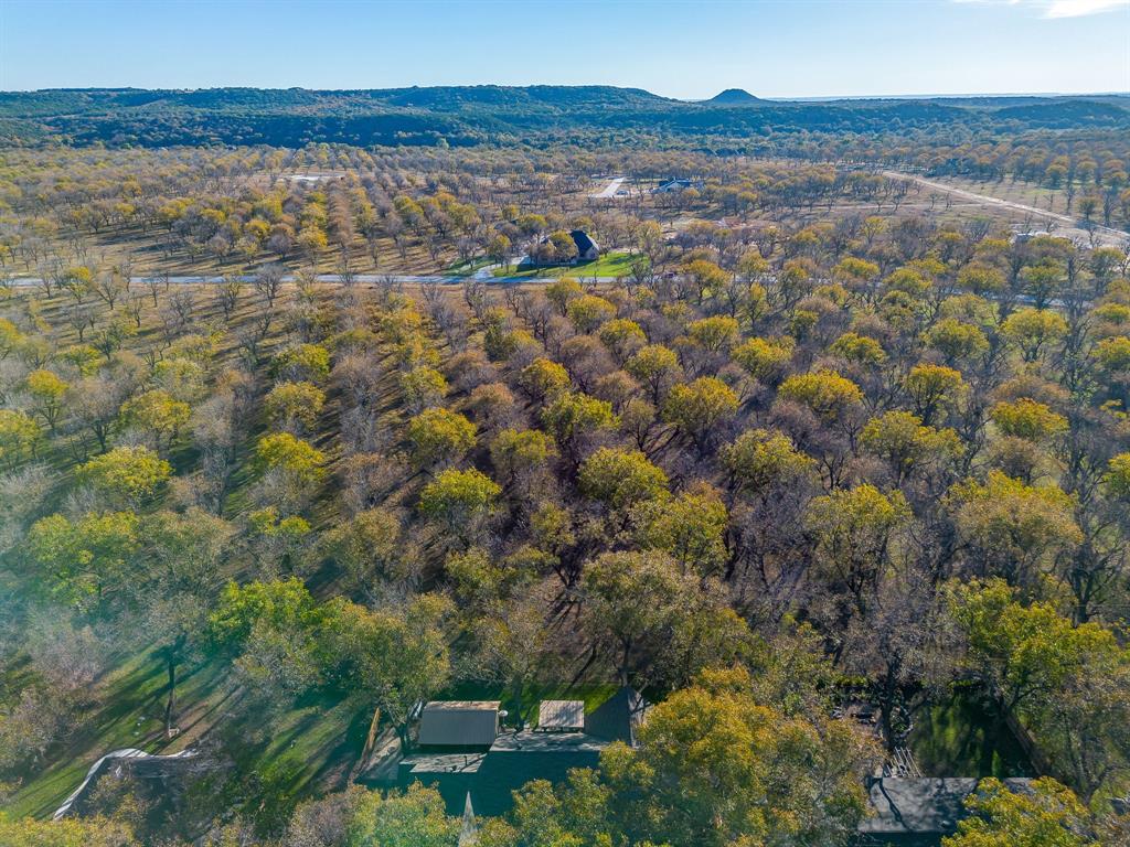 Pecan Plantation - Land