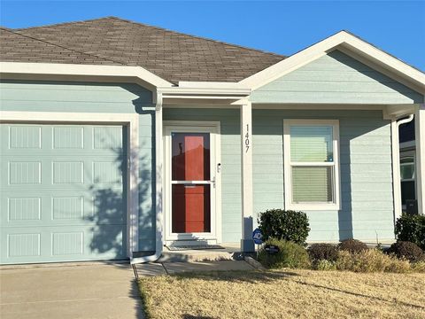 1407 Cherry Bark Drive Princeton TX 75407