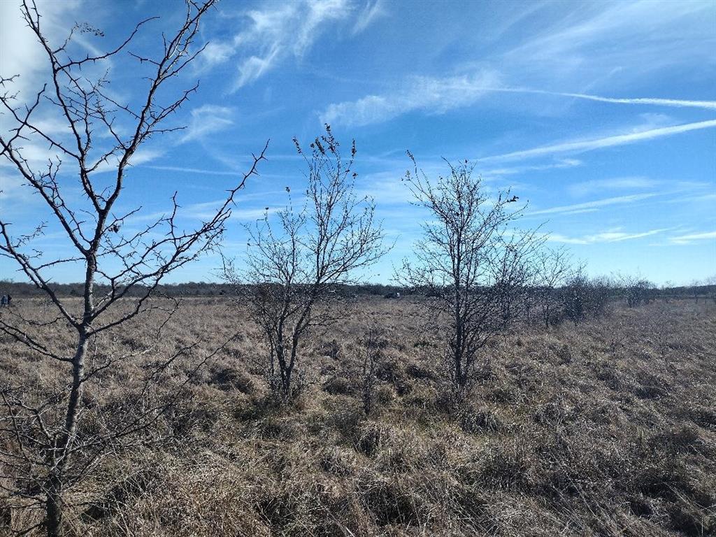 Wolf Creek Ranch - Land