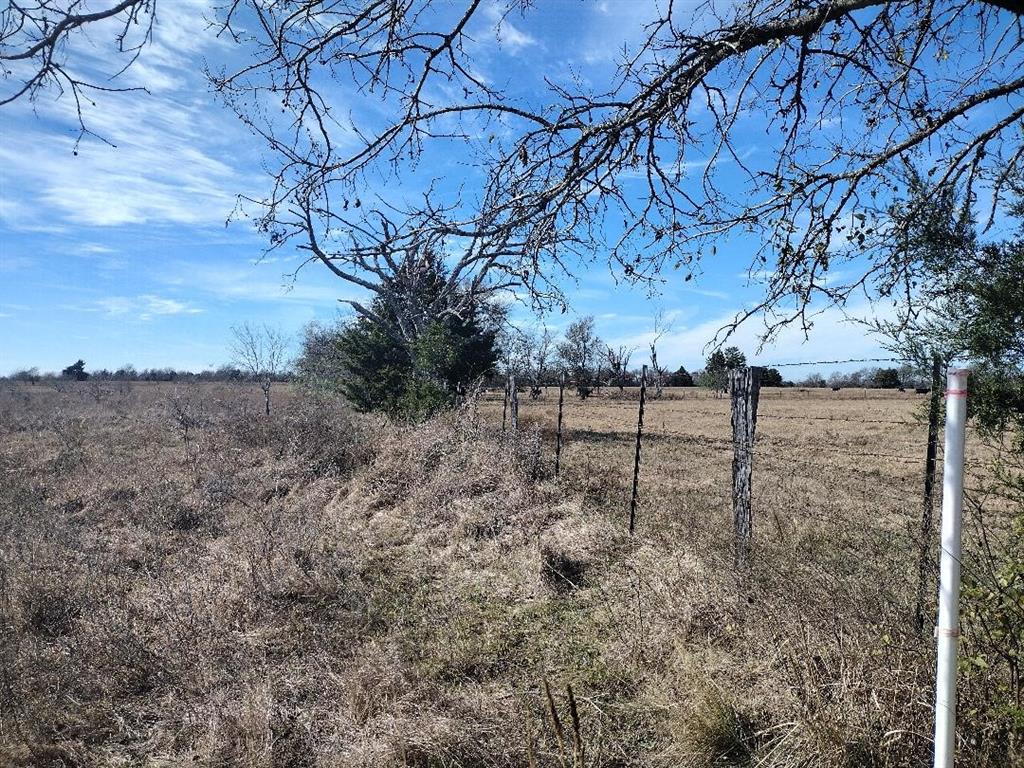 Wolf Creek Ranch - Land