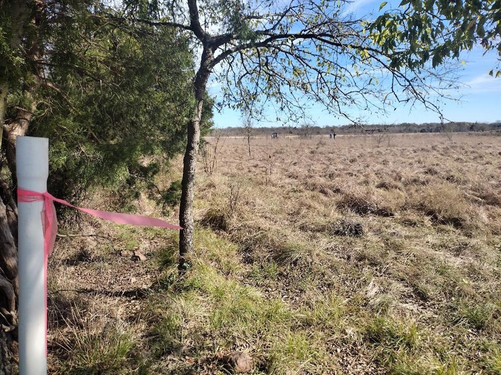 Wolf Creek Ranch - Land