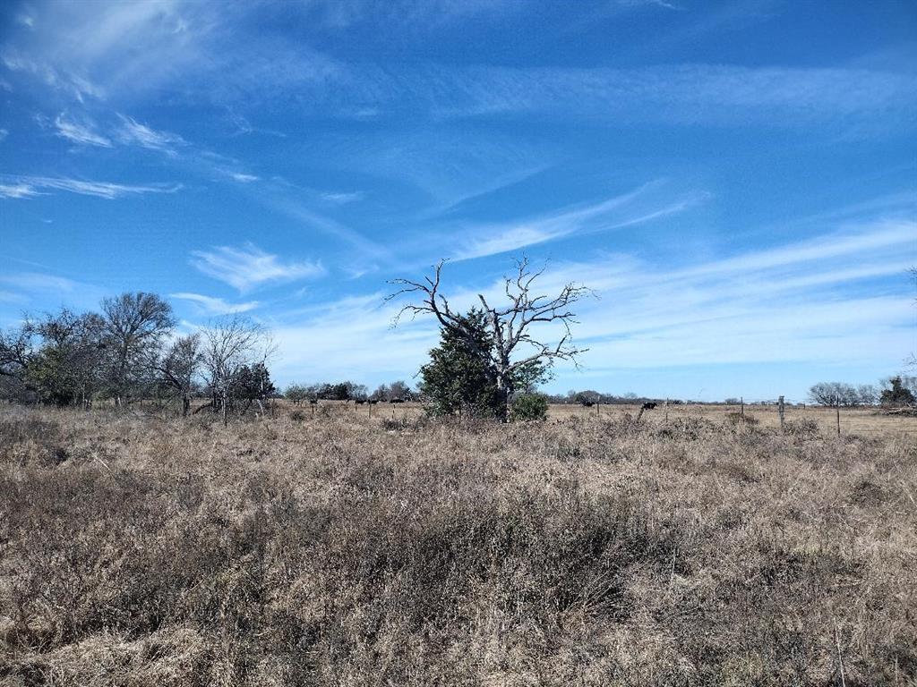 Wolf Creek Ranch - Land