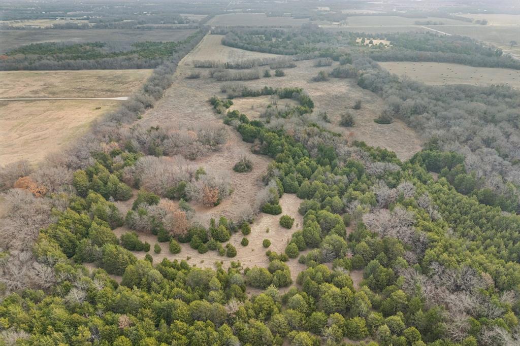 VAN WINKLE, D. - Farm