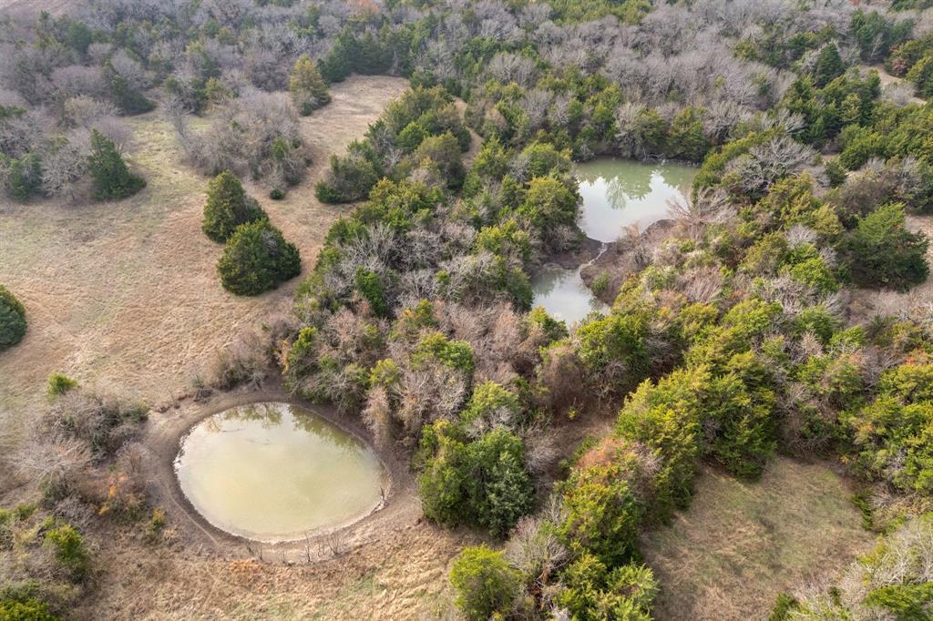 VAN WINKLE, D. - Farm