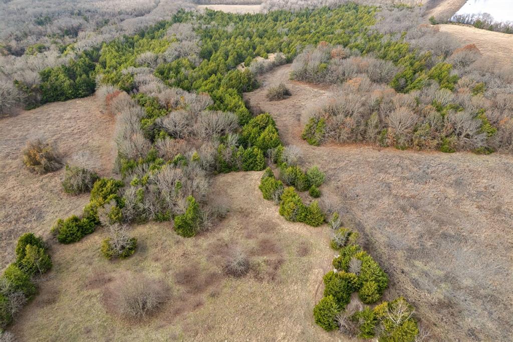 VAN WINKLE, D. - Farm