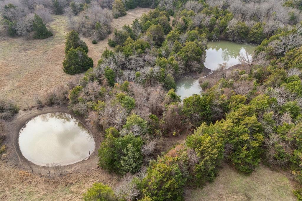 VAN WINKLE, D. - Farm