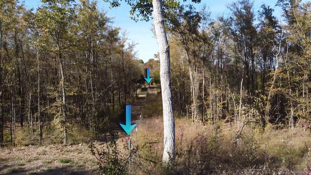 LAKE LIFE ESTATES - Land